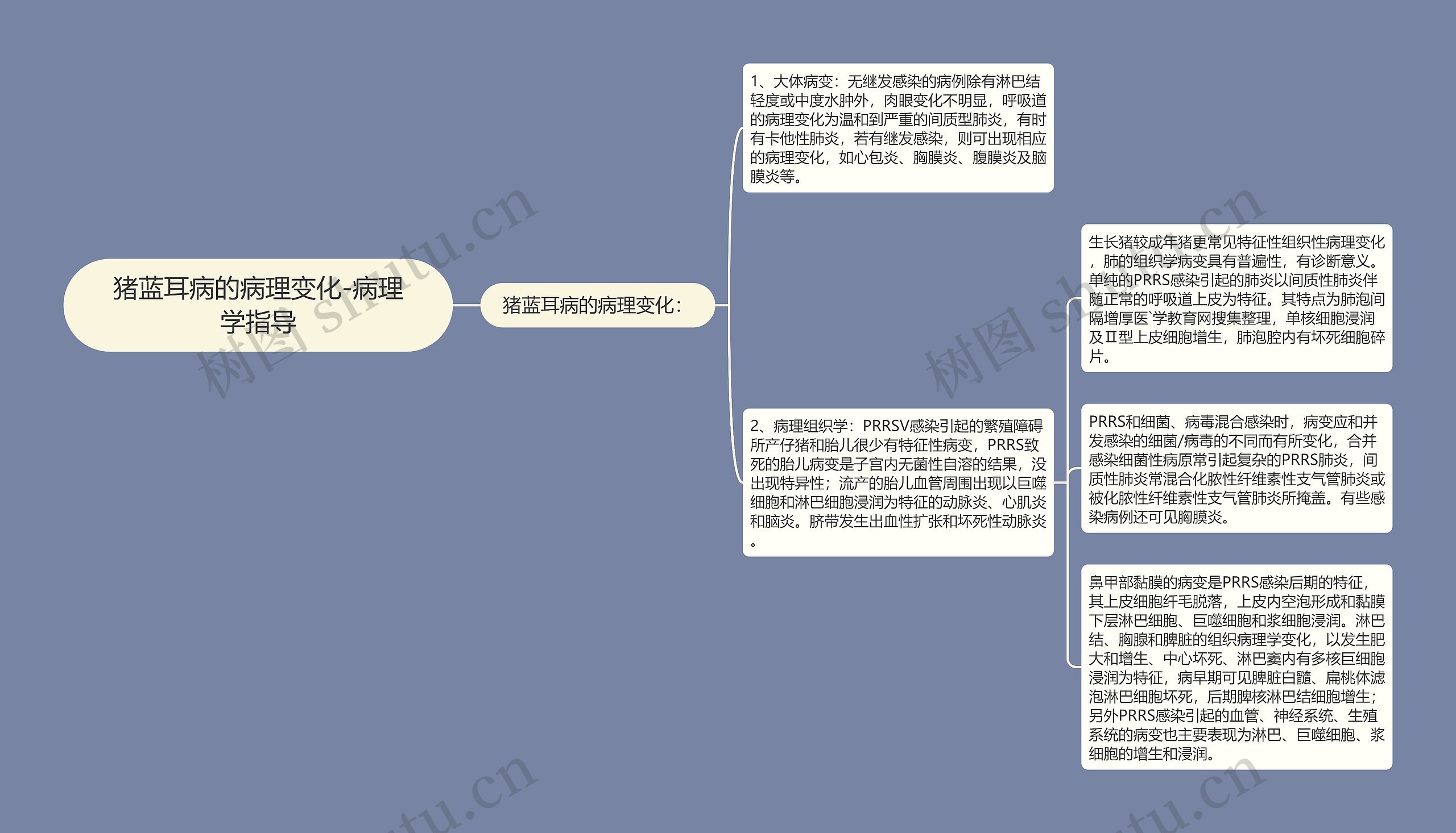 猪蓝耳病的病理变化-病理学指导思维导图