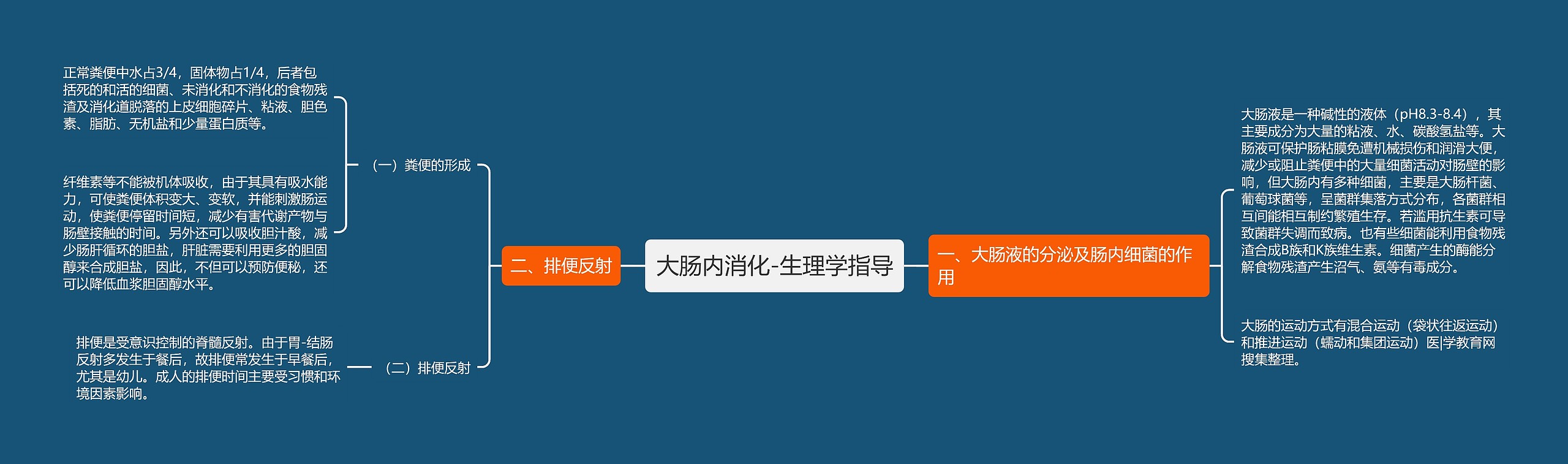大肠内消化-生理学指导