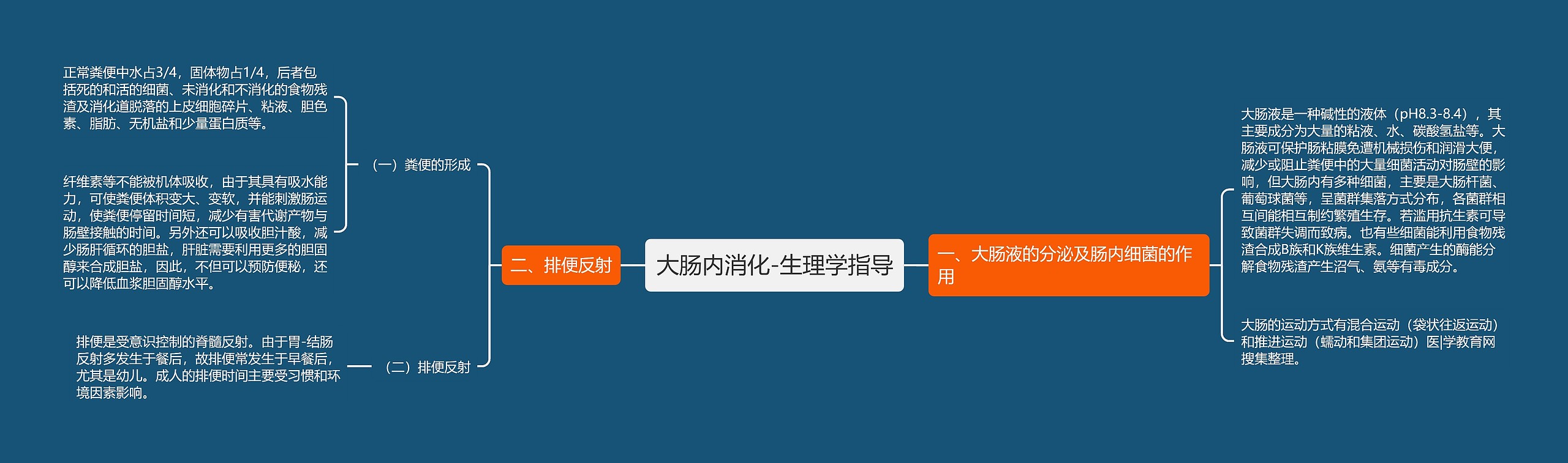 大肠内消化-生理学指导思维导图