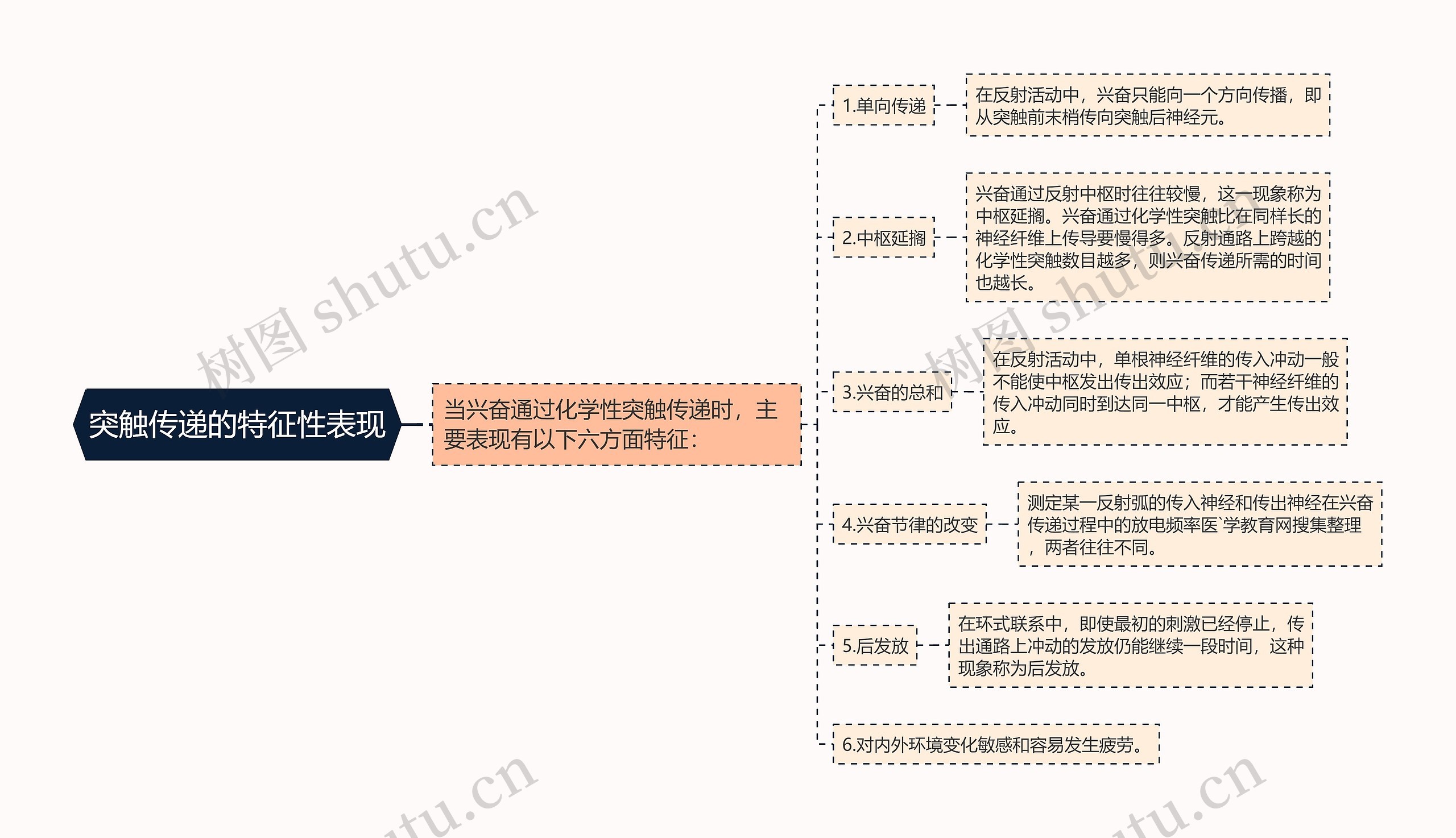 突触传递的特征性表现思维导图