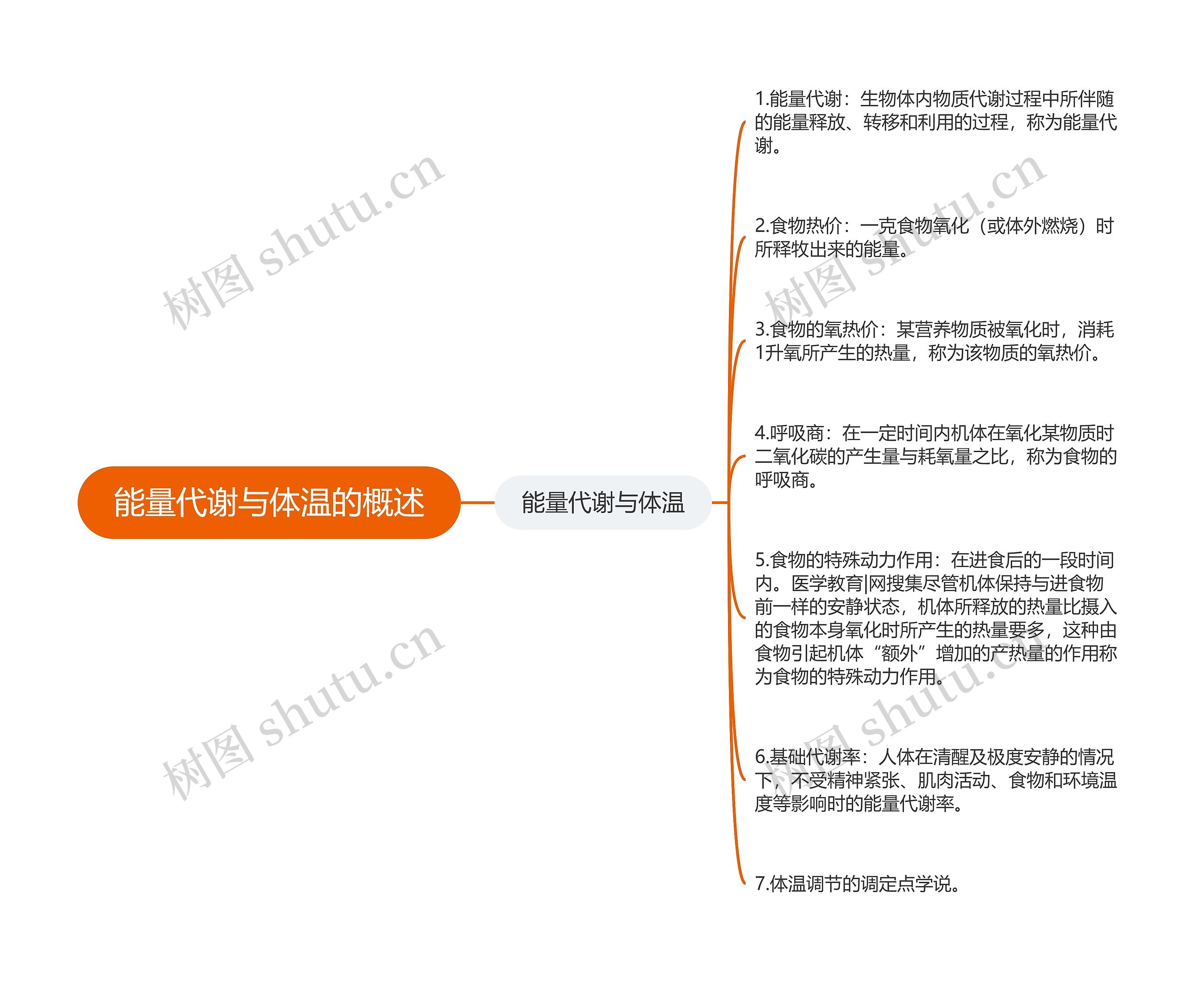 能量代谢与体温的概述思维导图