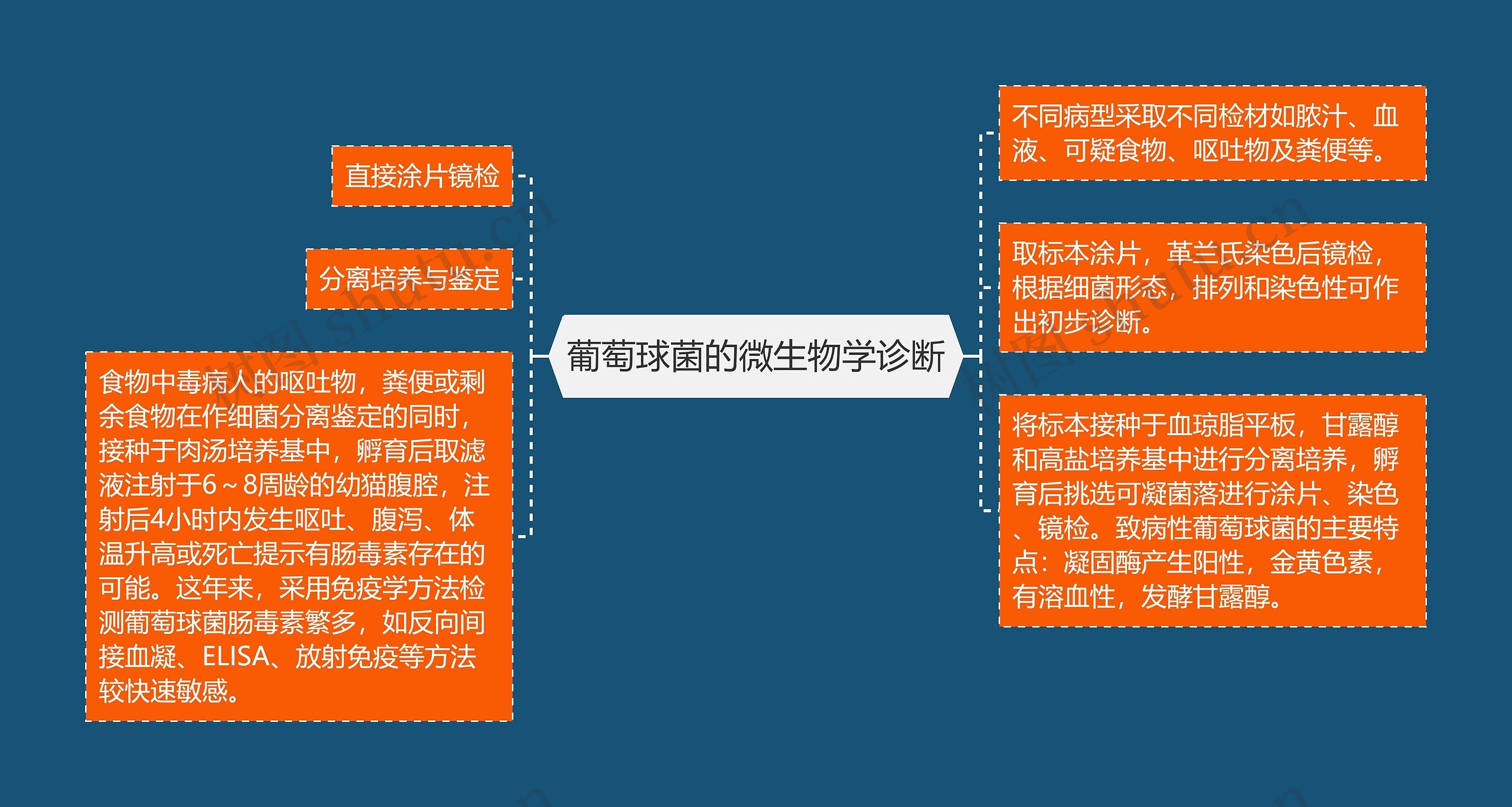 葡萄球菌的微生物学诊断 葡萄球菌的微生物学诊断