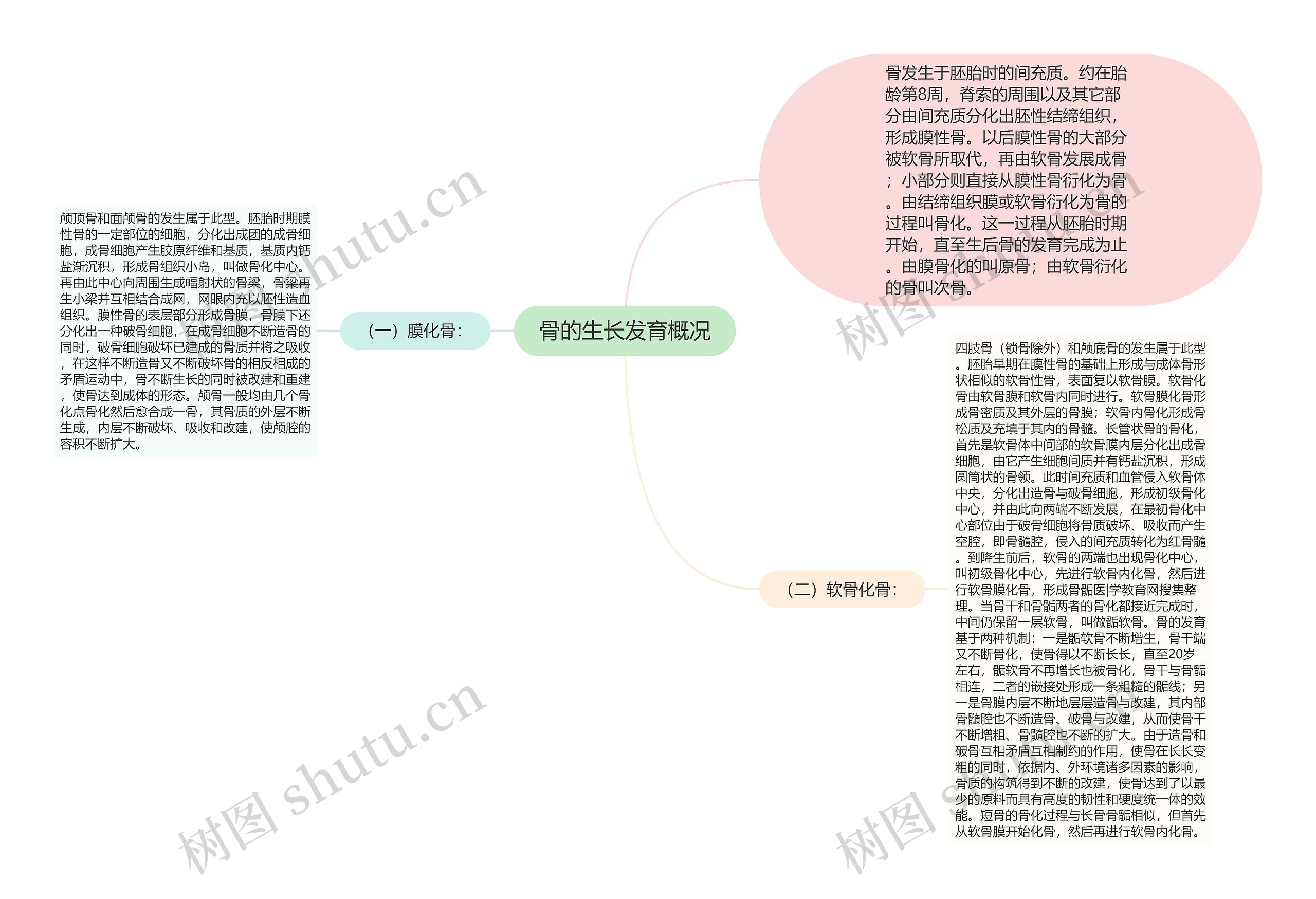 骨的生长发育概况思维导图