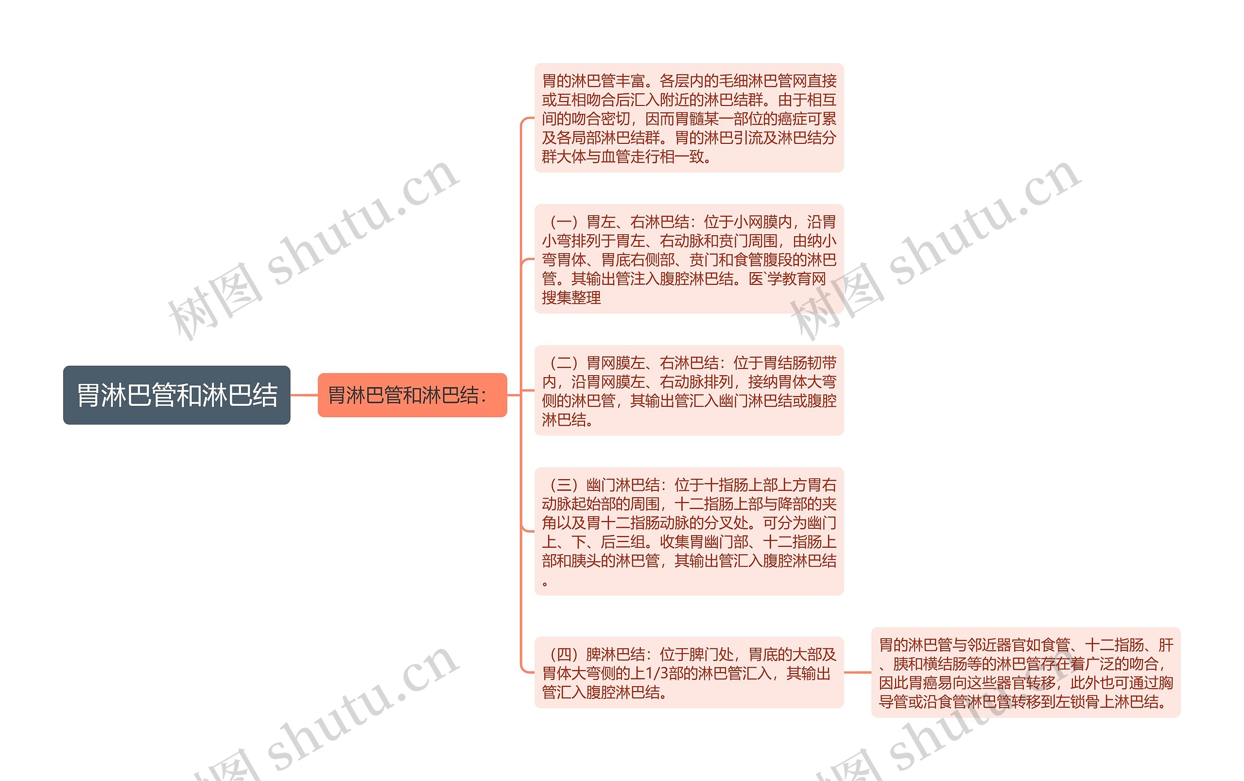 胃淋巴管和淋巴结思维导图