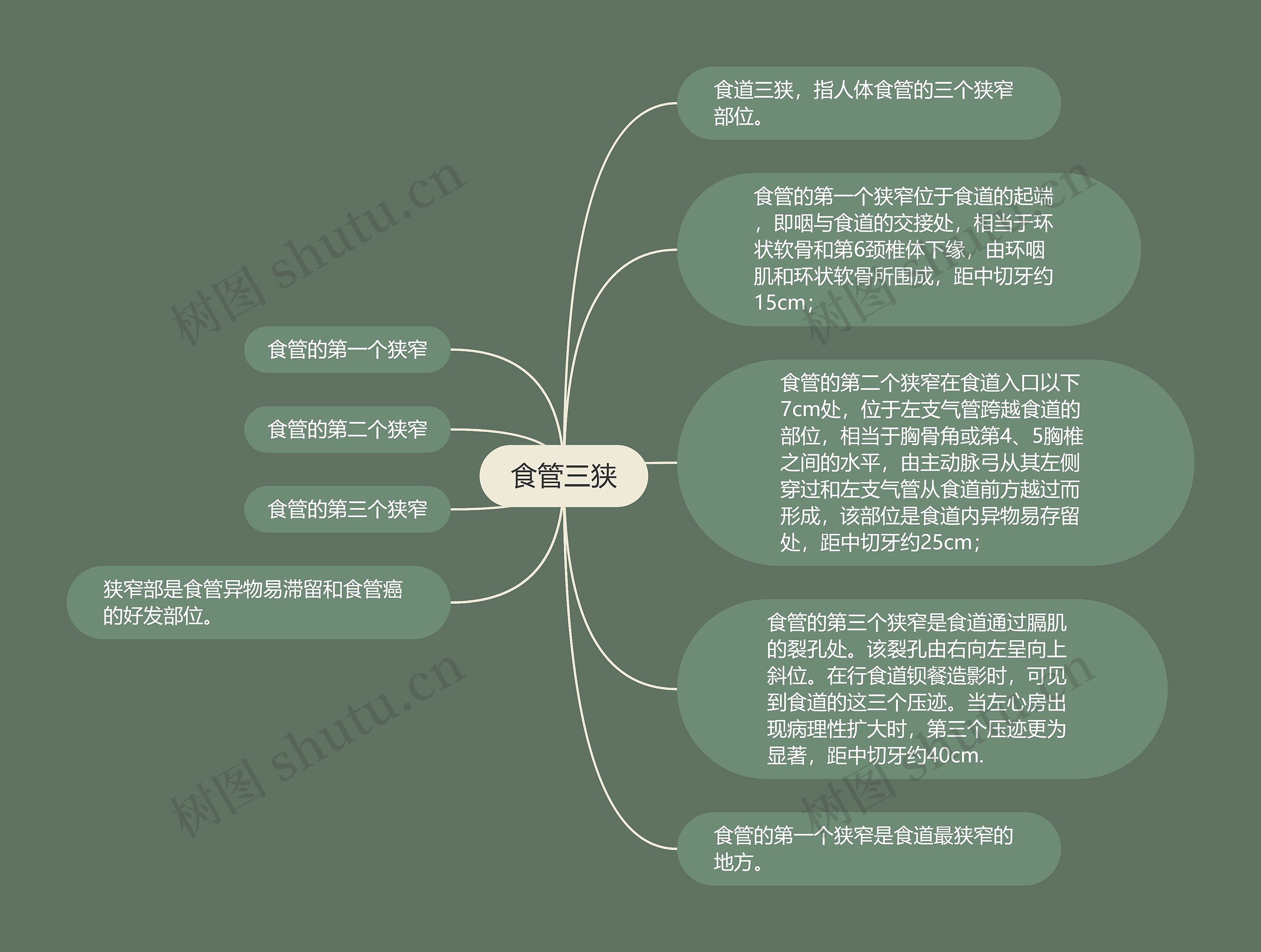 食管三狭思维导图