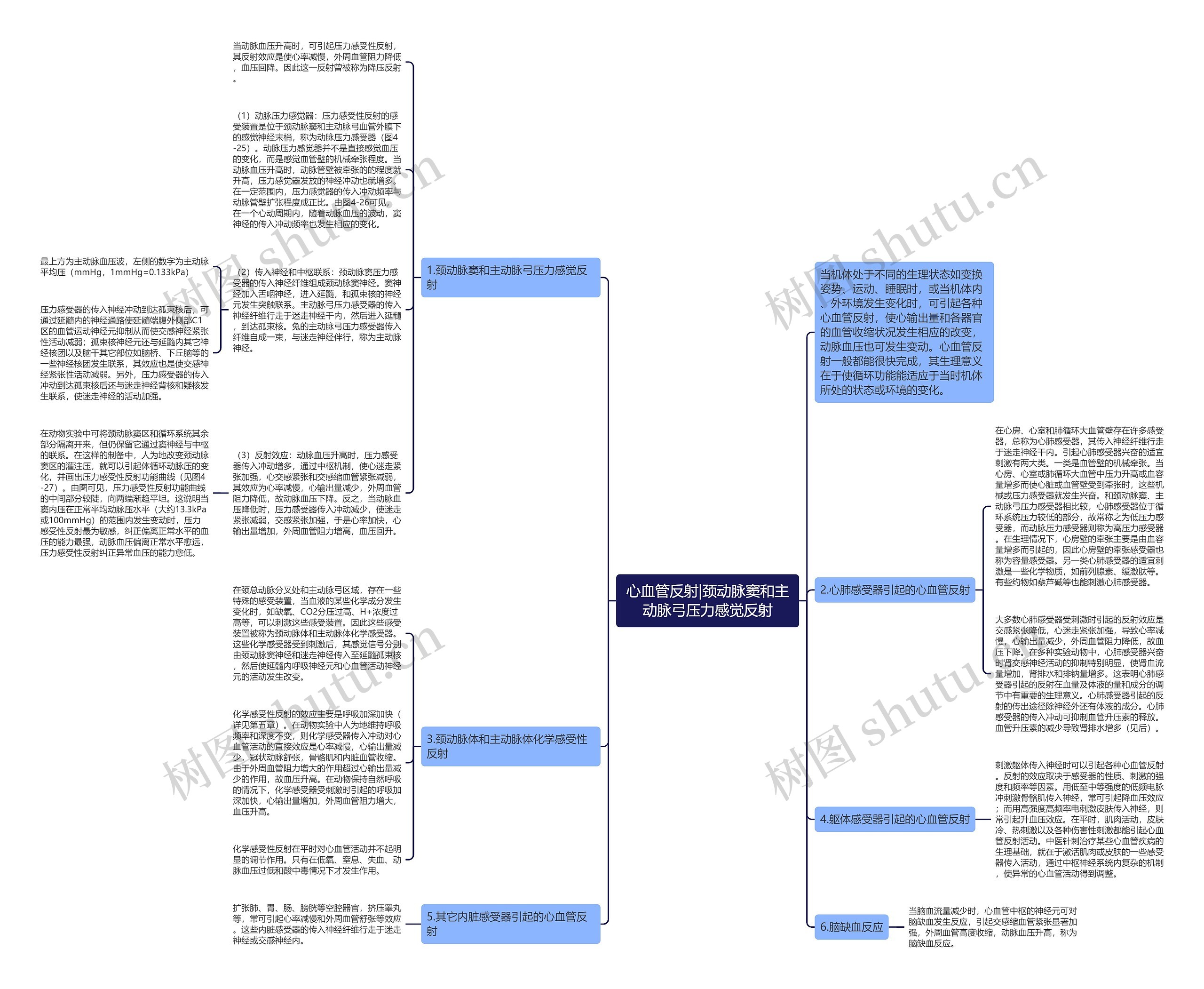 心血管反射|颈动脉窦和主动脉弓压力感觉反射思维导图