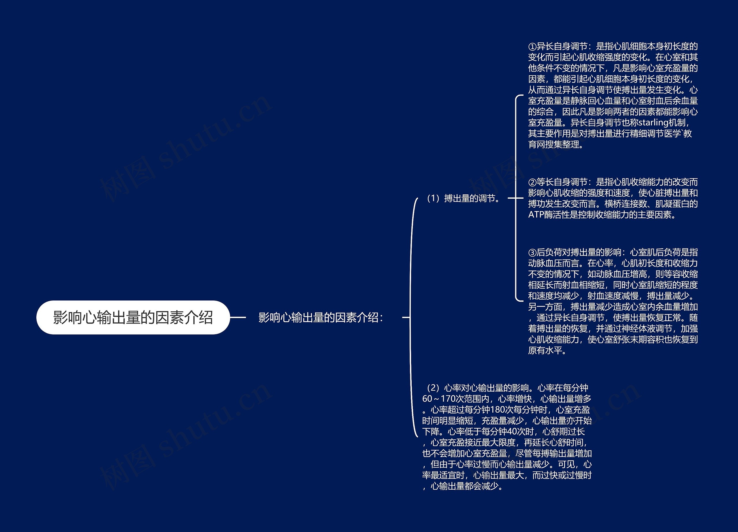 影响心输出量的因素介绍思维导图