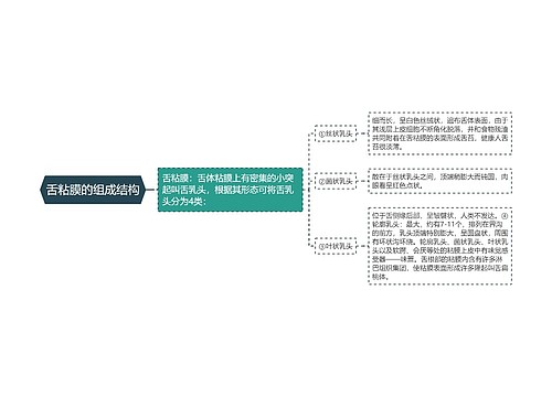 舌粘膜的组成结构