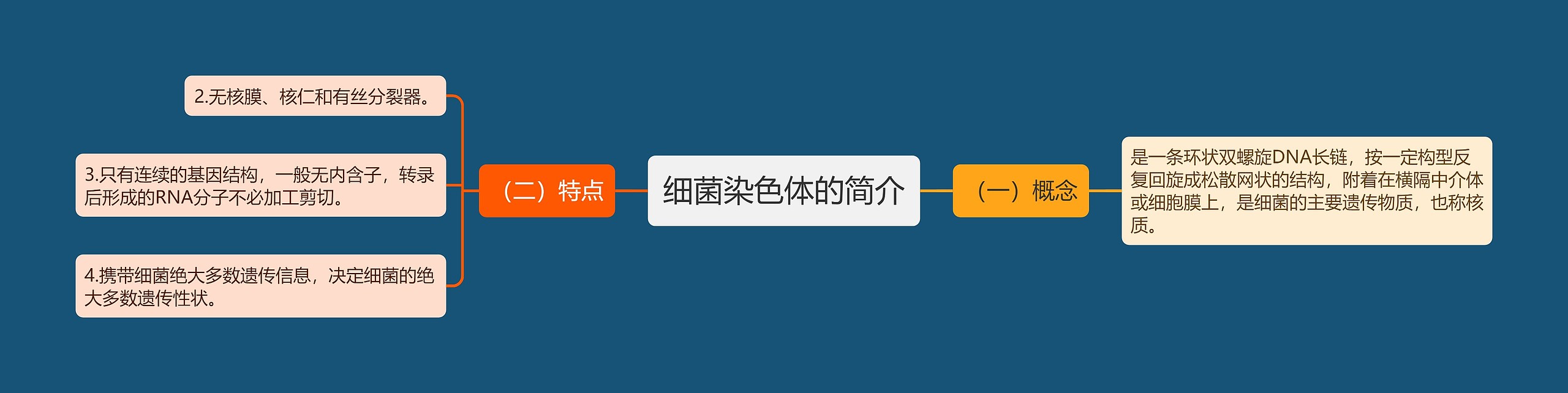 细菌染色体的简介 细菌染色体的简介