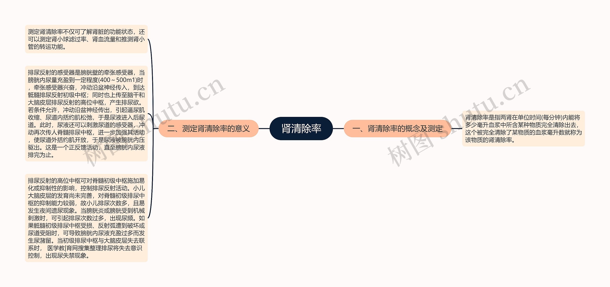 肾清除率 肾清除率