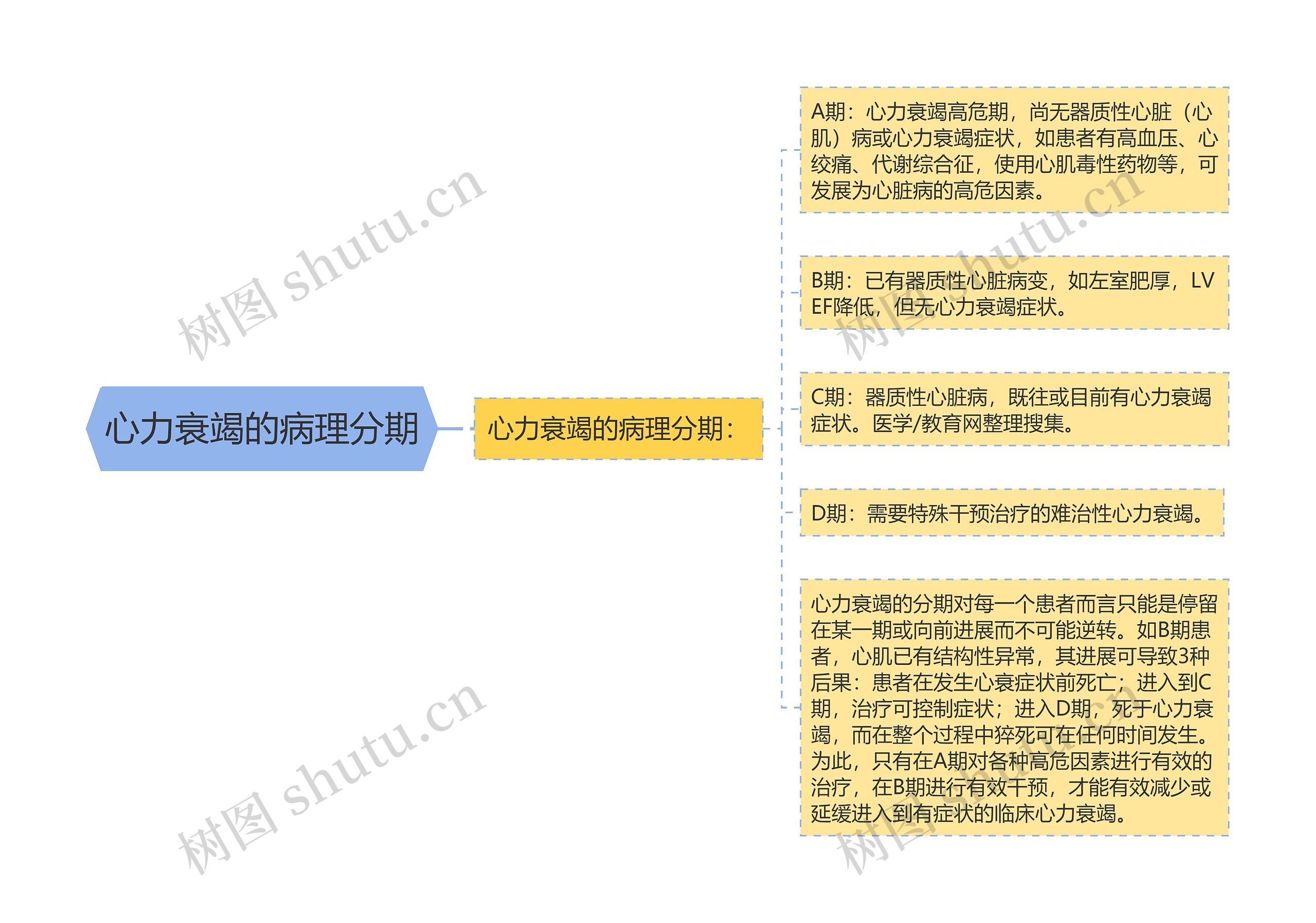 心力衰竭的病理分期