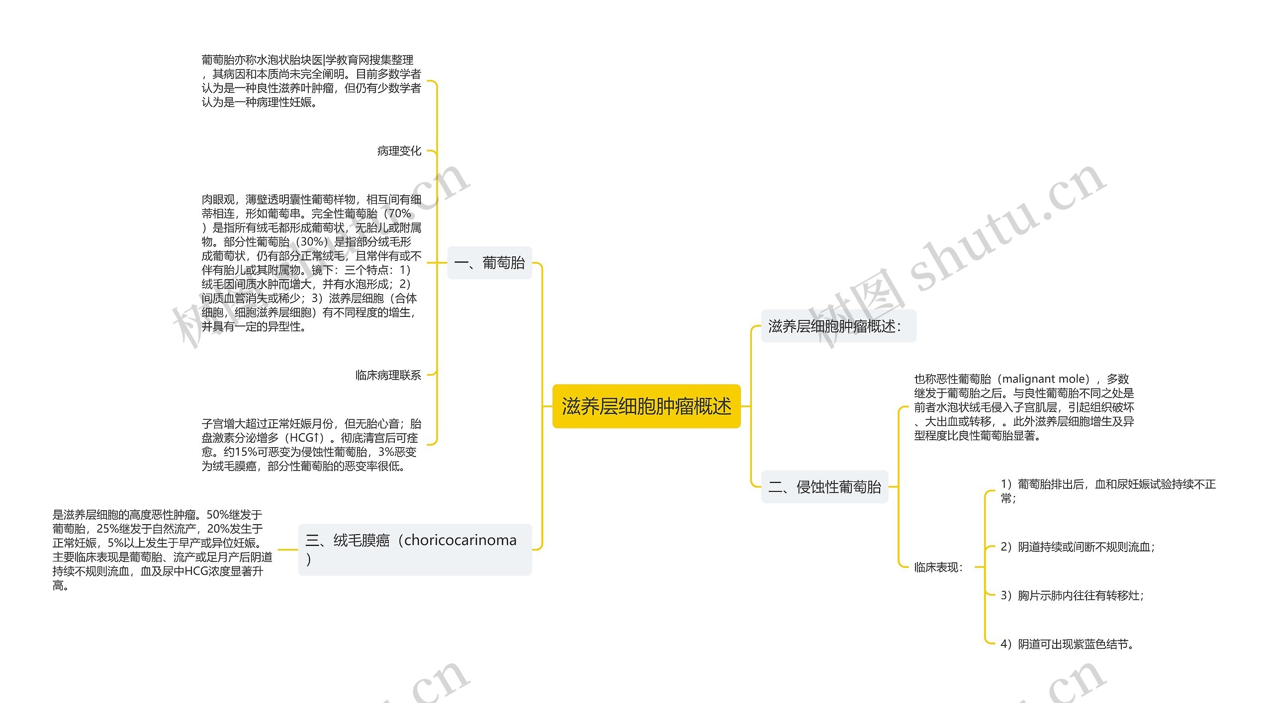 滋养层细胞肿瘤概述思维导图