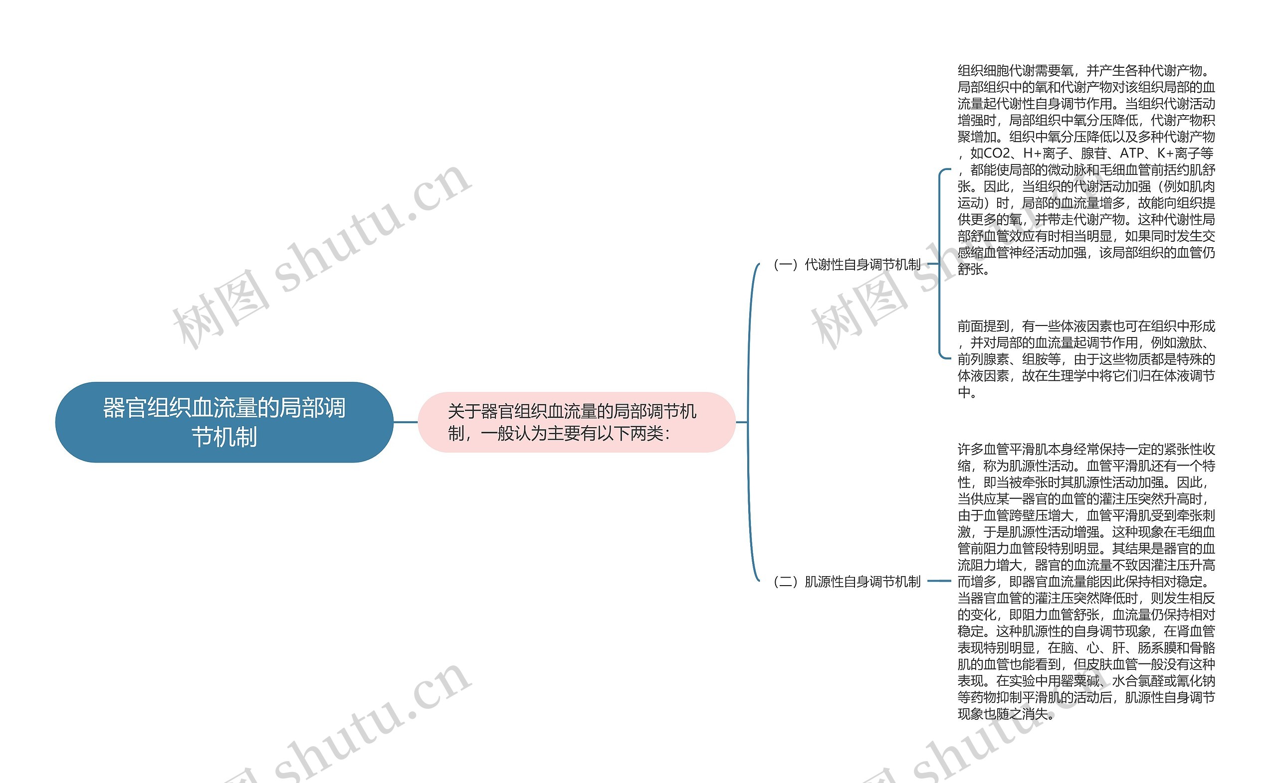 器官组织血流量的局部调节机制