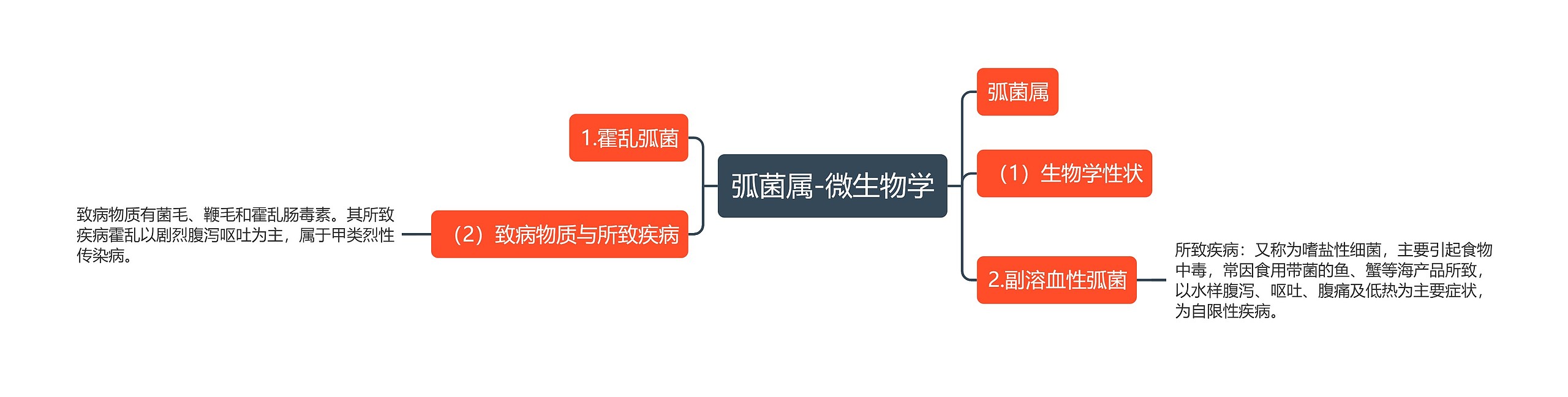 弧菌属-微生物学思维导图