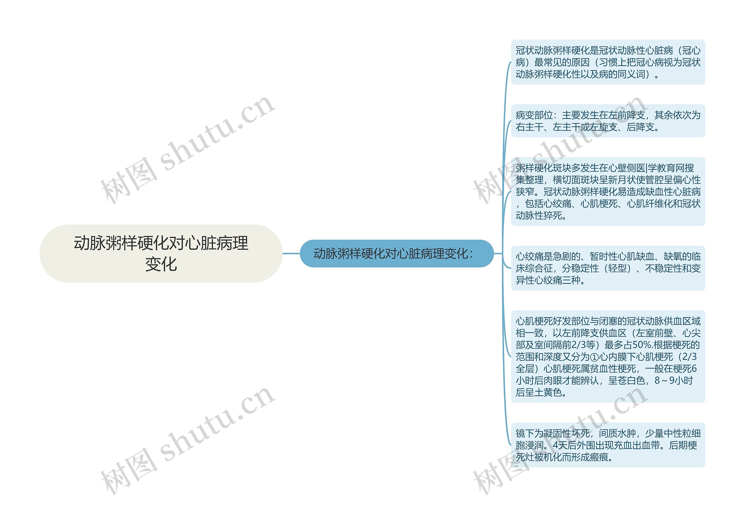 动脉粥样硬化对心脏病理变化思维导图