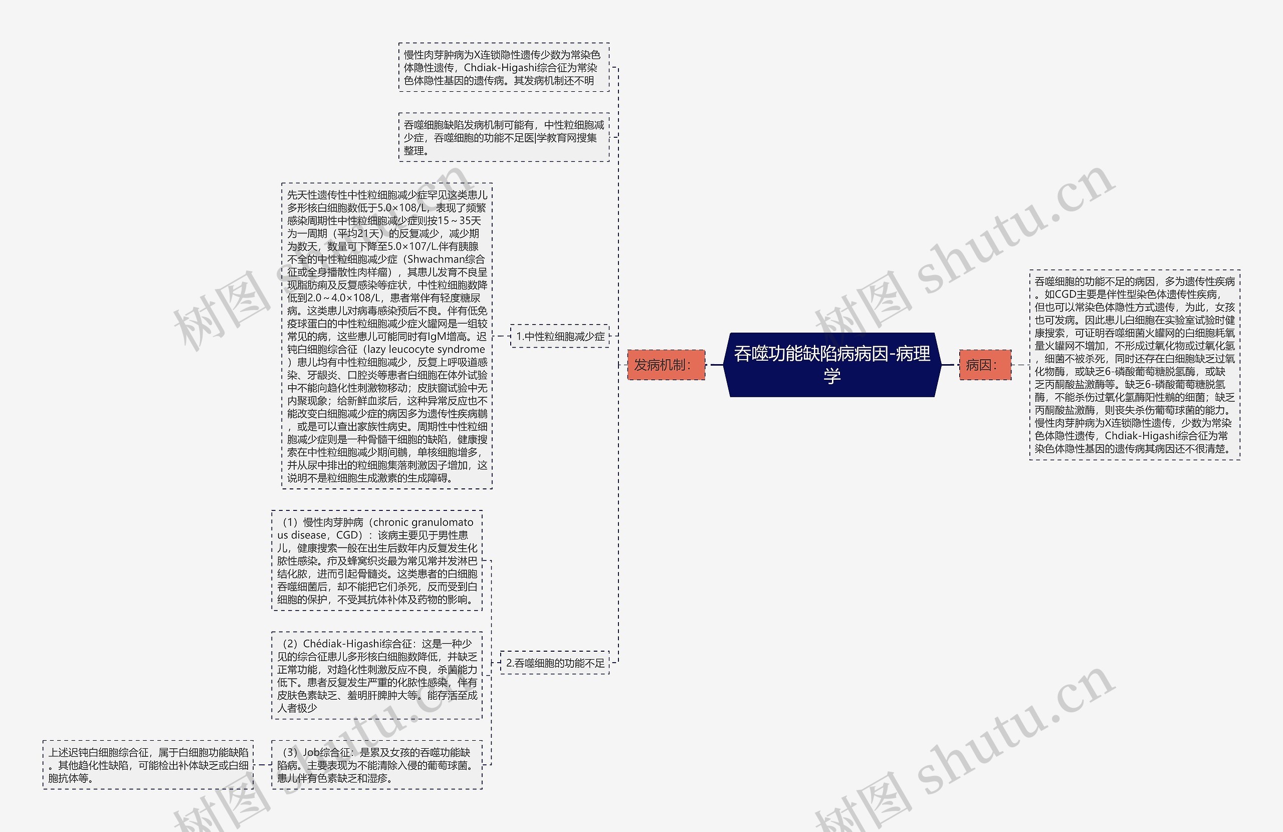 吞噬功能缺陷病病因-病理学思维导图