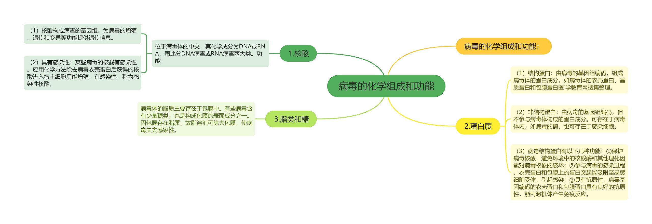 病毒的化学组成和功能 病毒的化学组成和功能