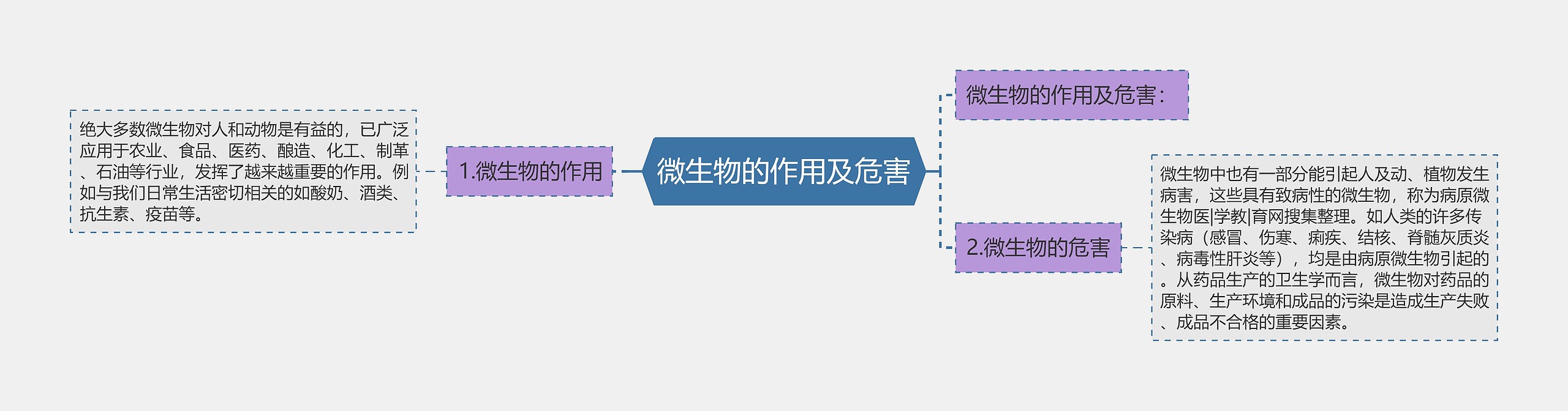 微生物的作用及危害思维导图