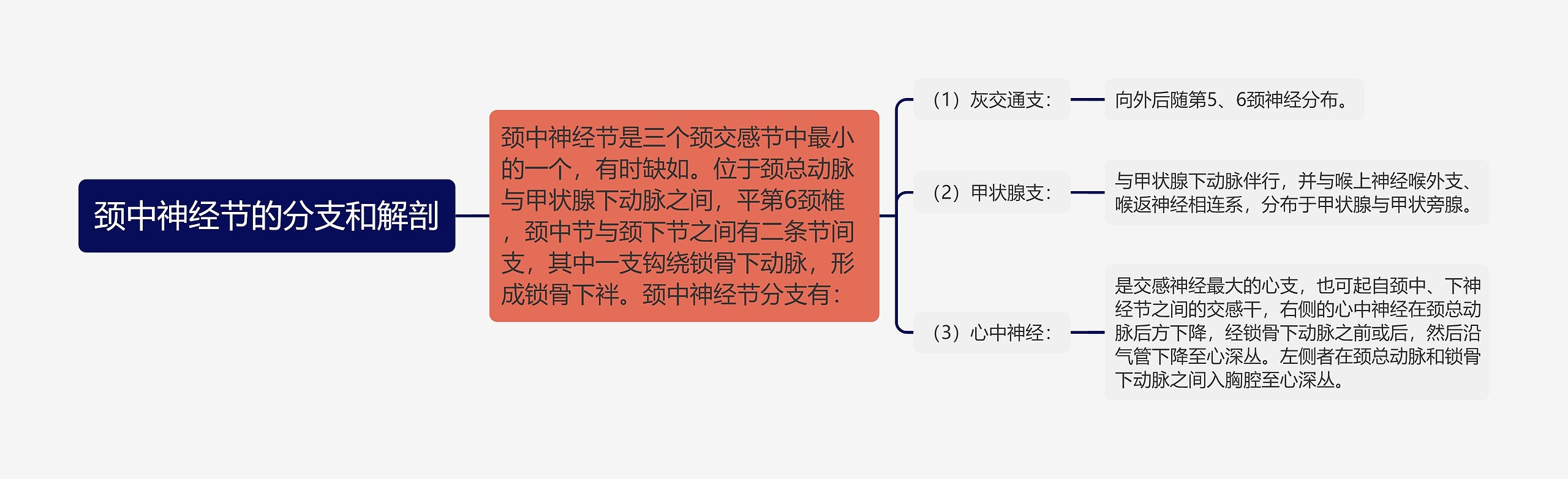 颈中神经节的分支和解剖 颈中神经节的分支和解剖
