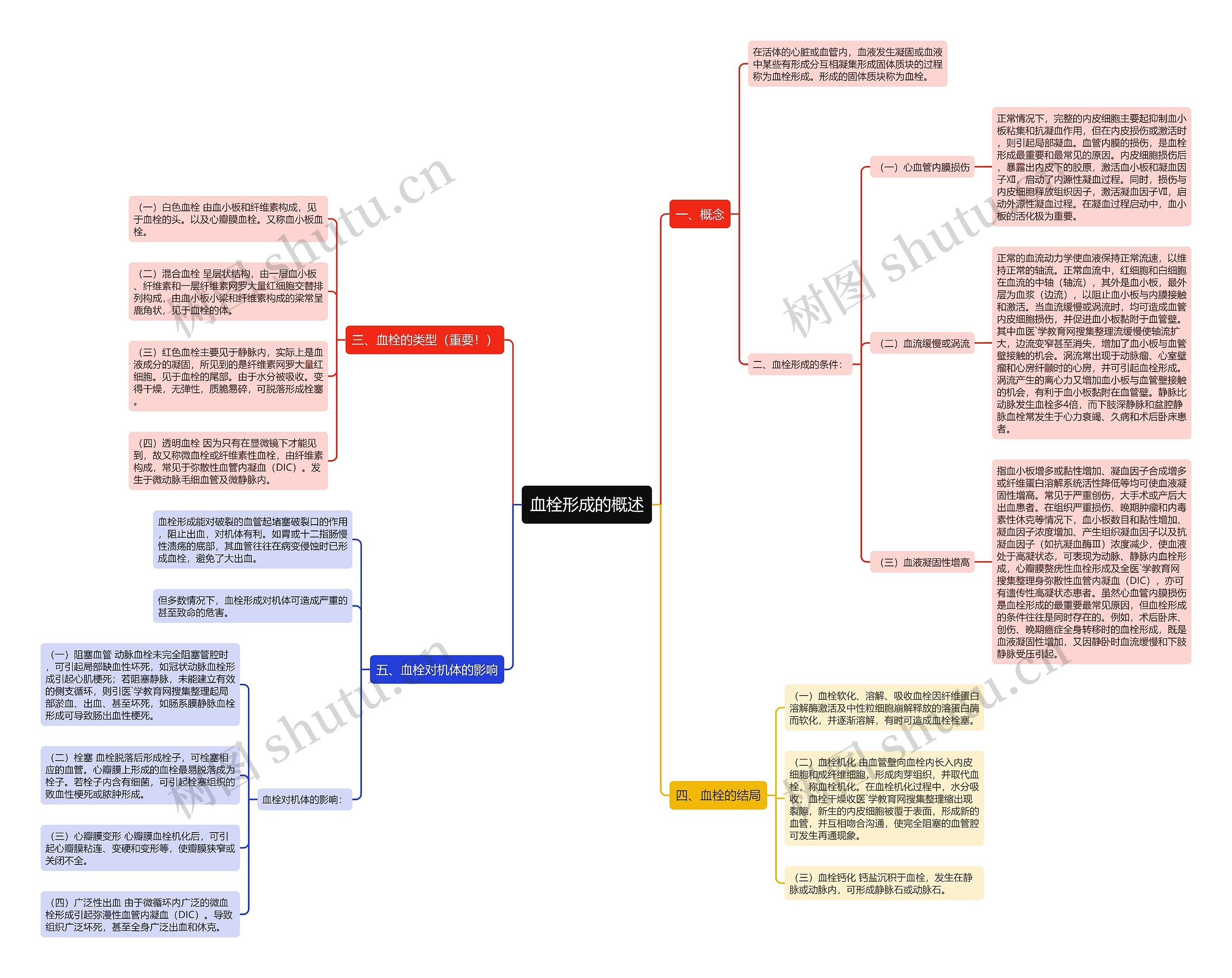血栓形成的概述 血栓形成的概述