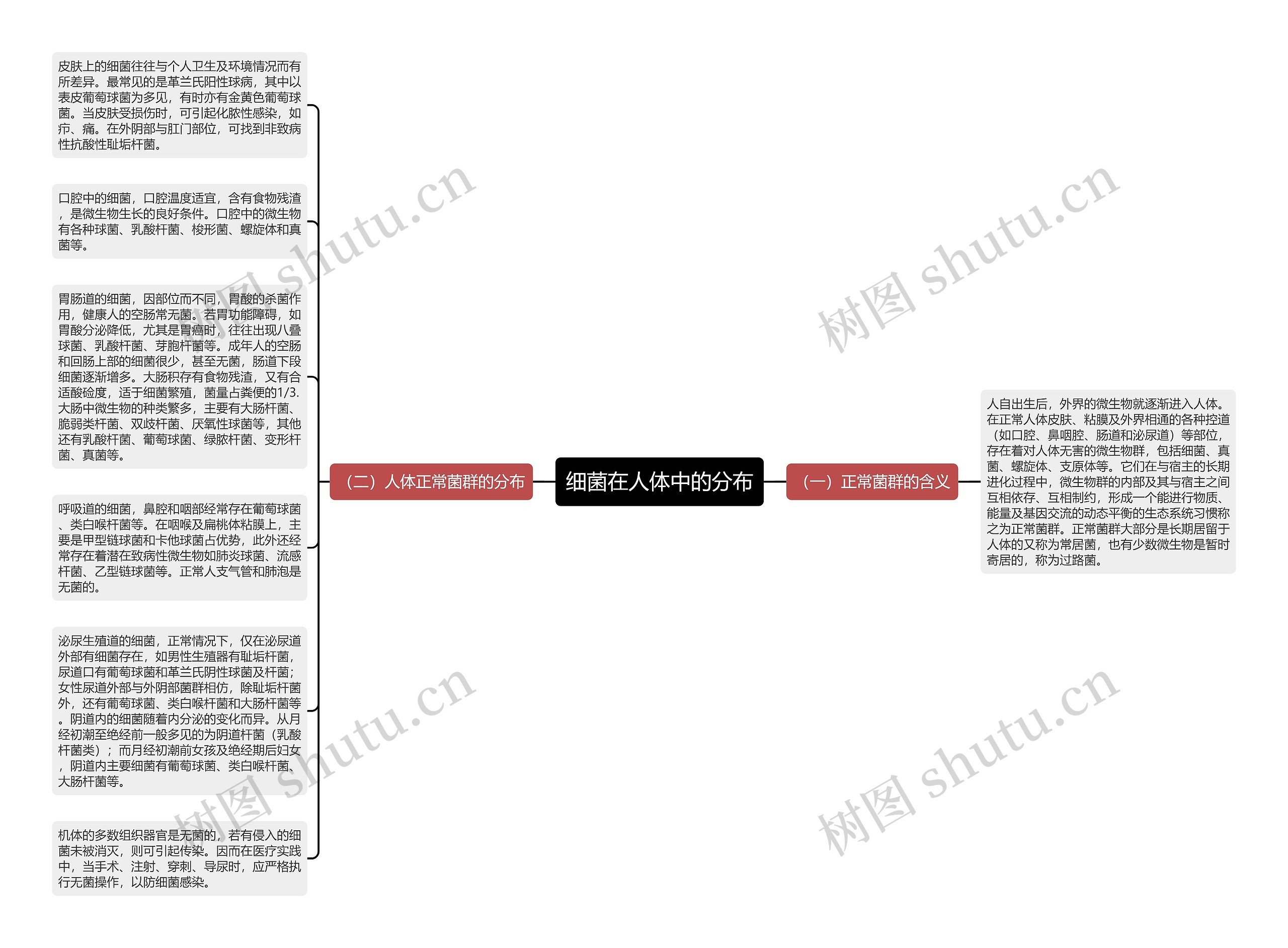 细菌在人体中的分布思维导图