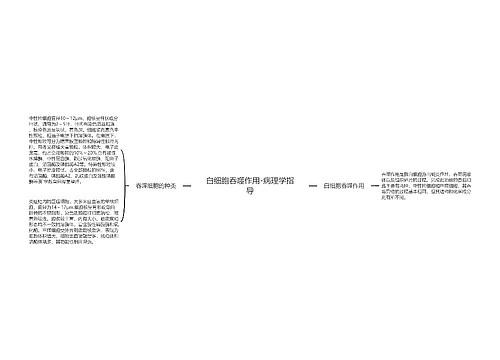 白细胞吞噬作用-病理学指导