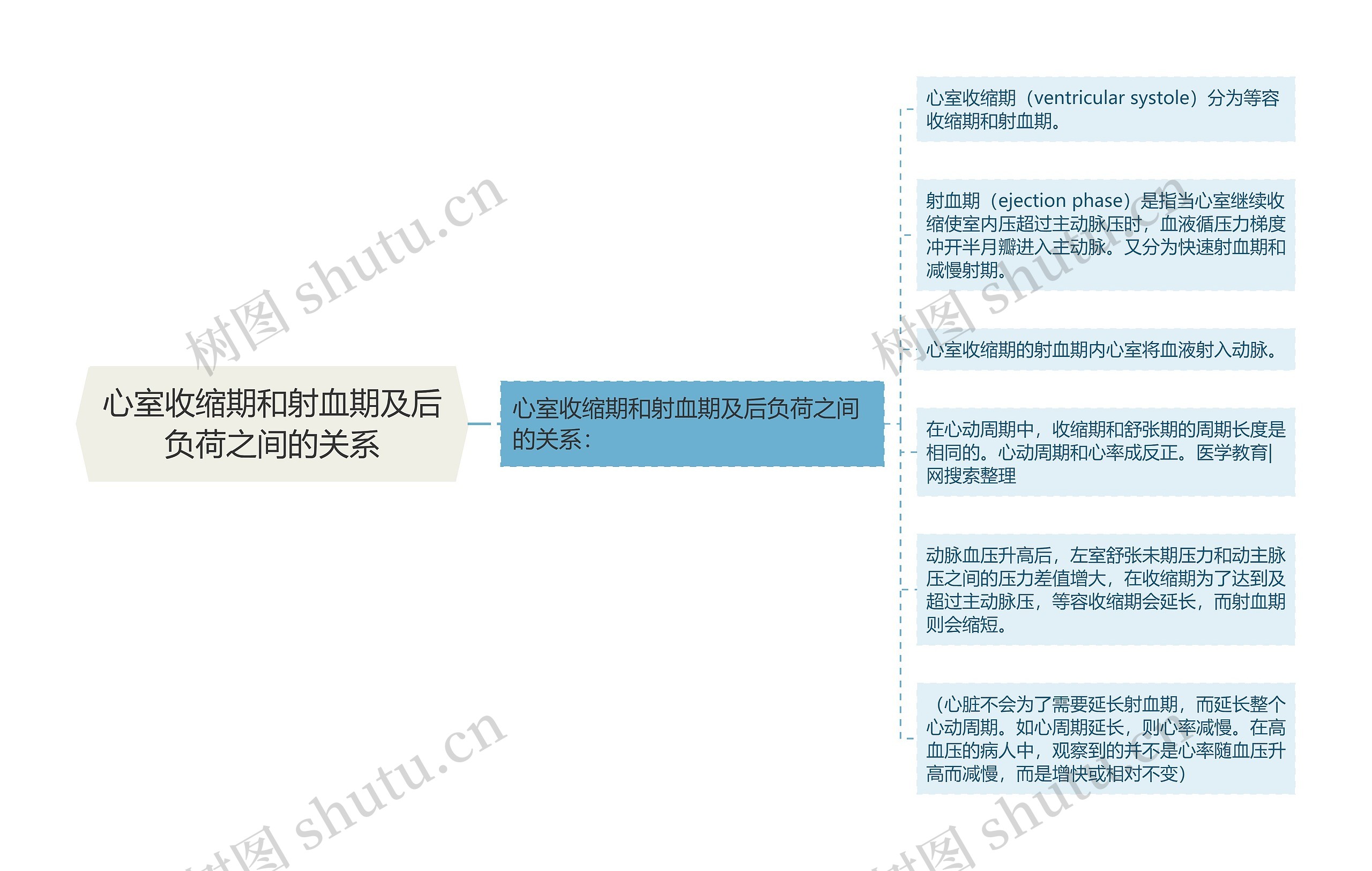 心室收缩期和射血期及后负荷之间的关系