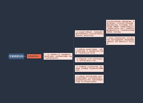 牙龈表面结构思维导图