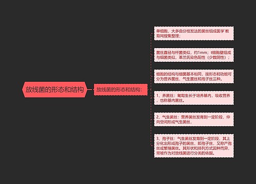 放线菌的形态和结构