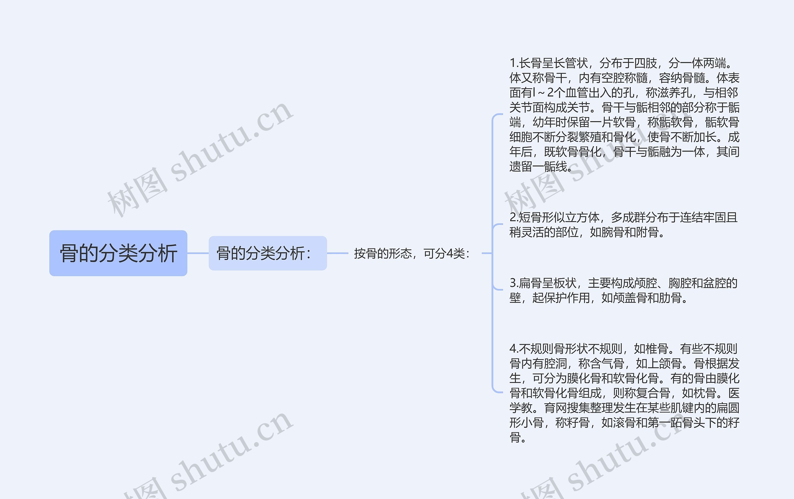 骨的分类分析思维导图