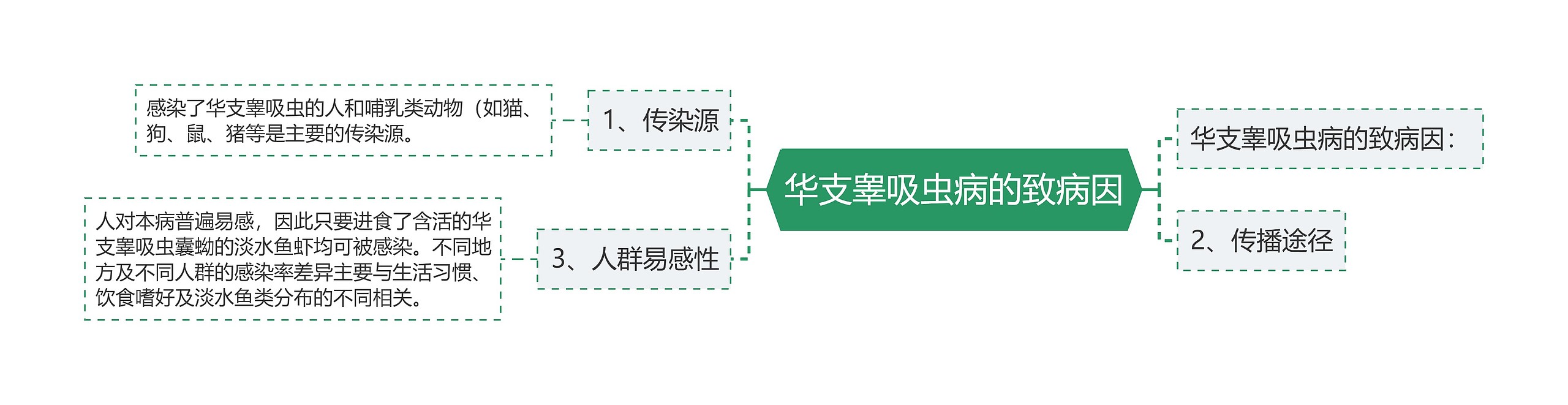 华支睾吸虫病的致病因