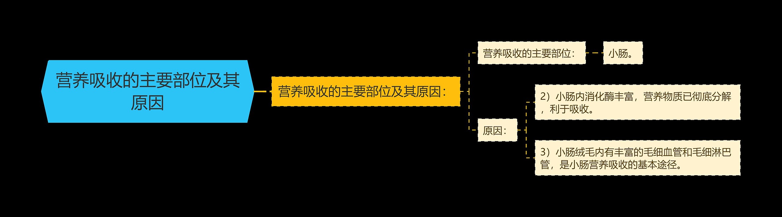 营养吸收的主要部位及其原因思维导图