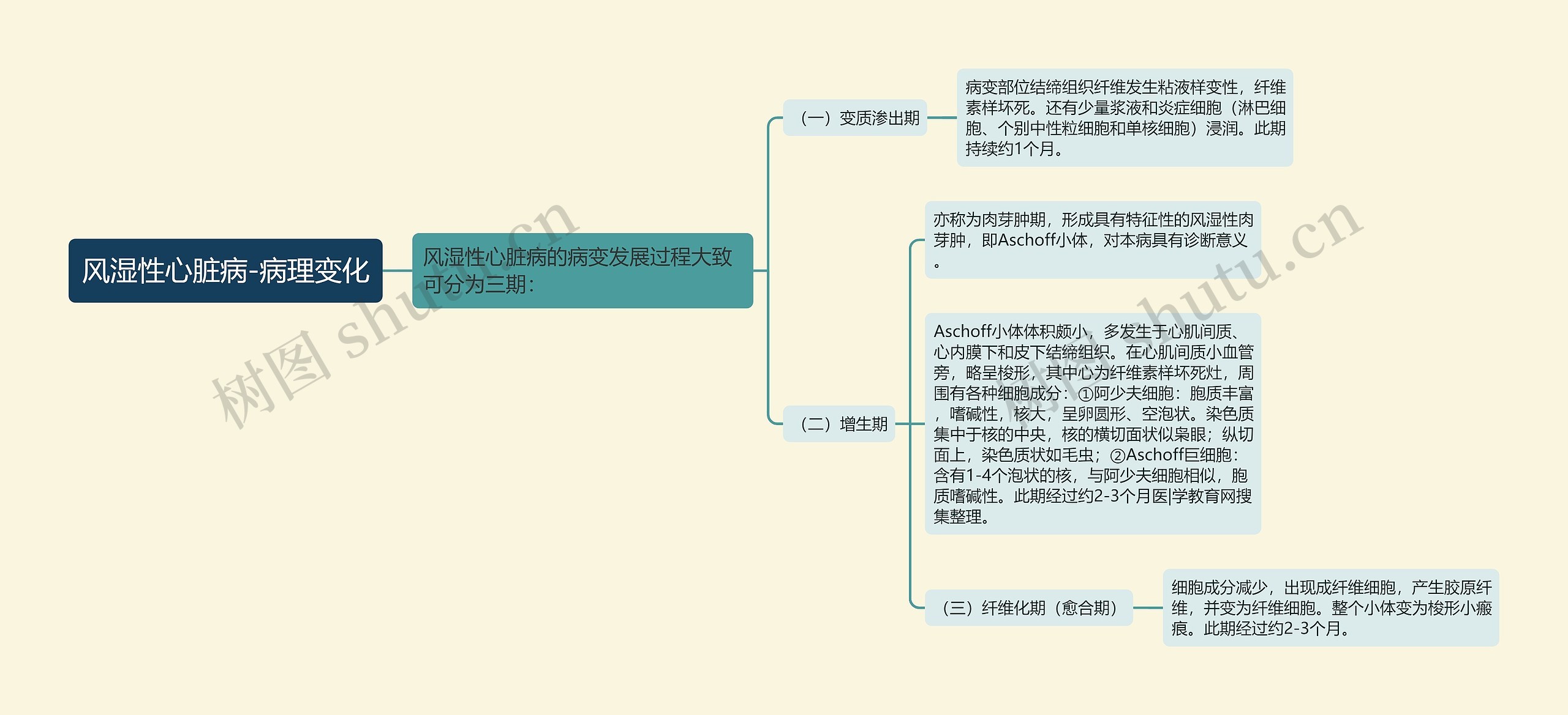 风湿性心脏病-病理变化思维导图