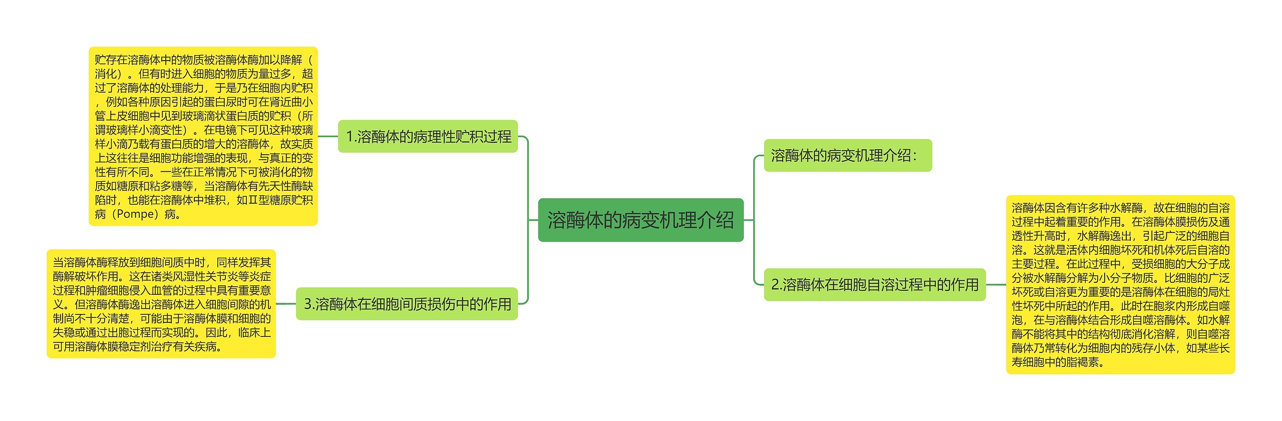 溶酶体的病变机理介绍思维导图