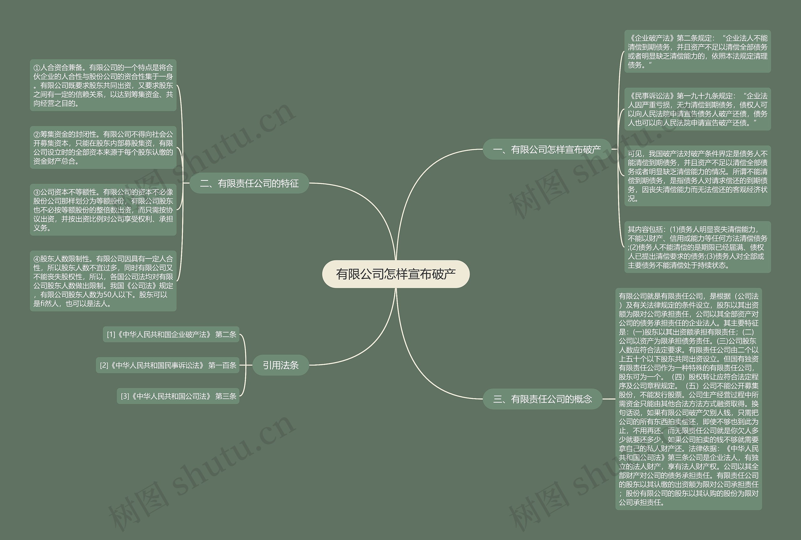 有限公司怎样宣布破产思维导图