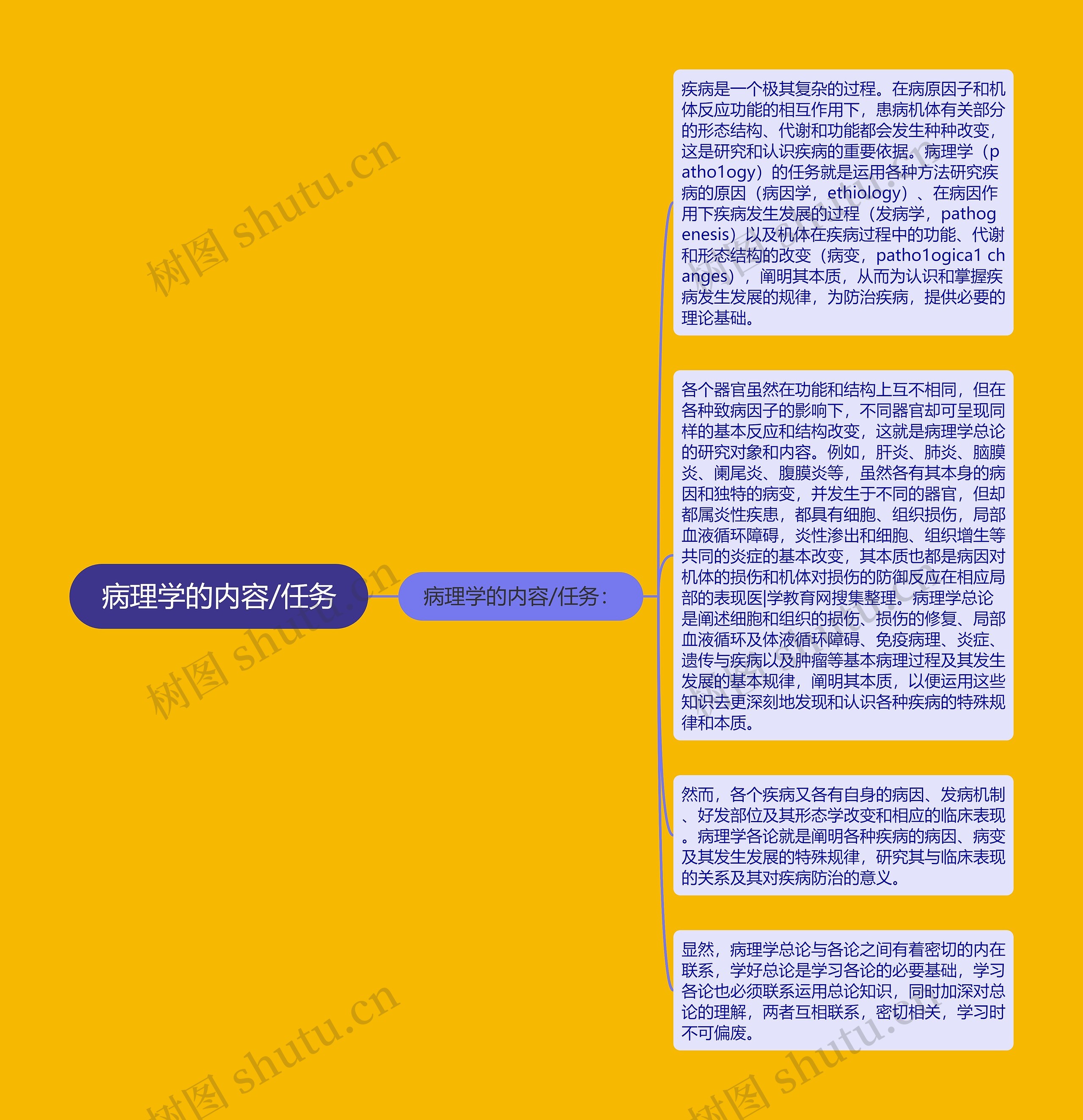 病理学的内容/任务