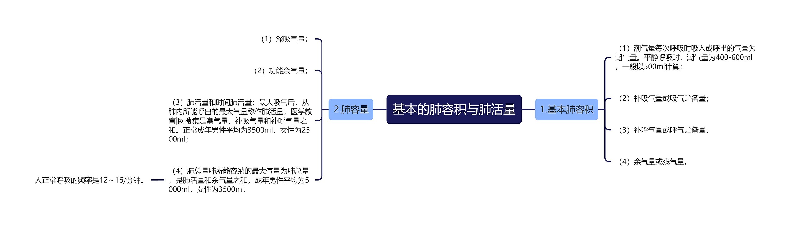 基本的肺容积与肺活量