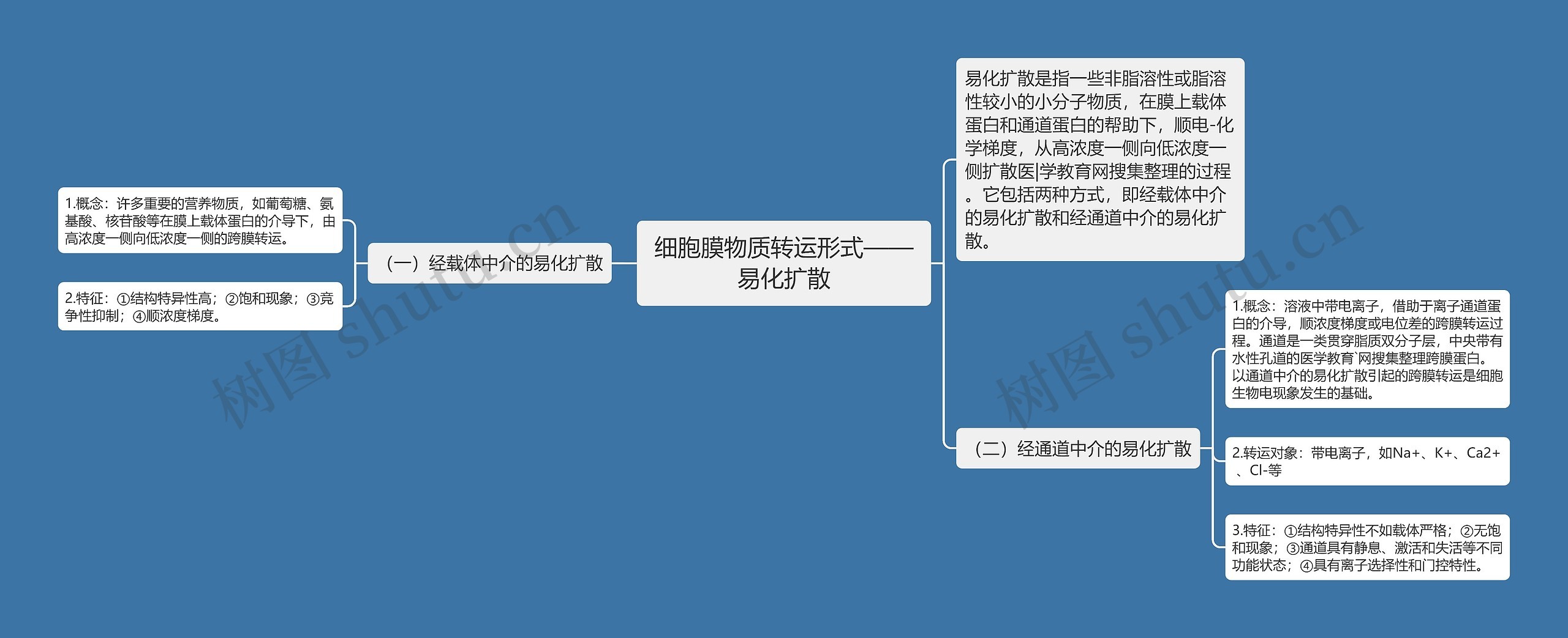 细胞膜物质转运形式——易化扩散