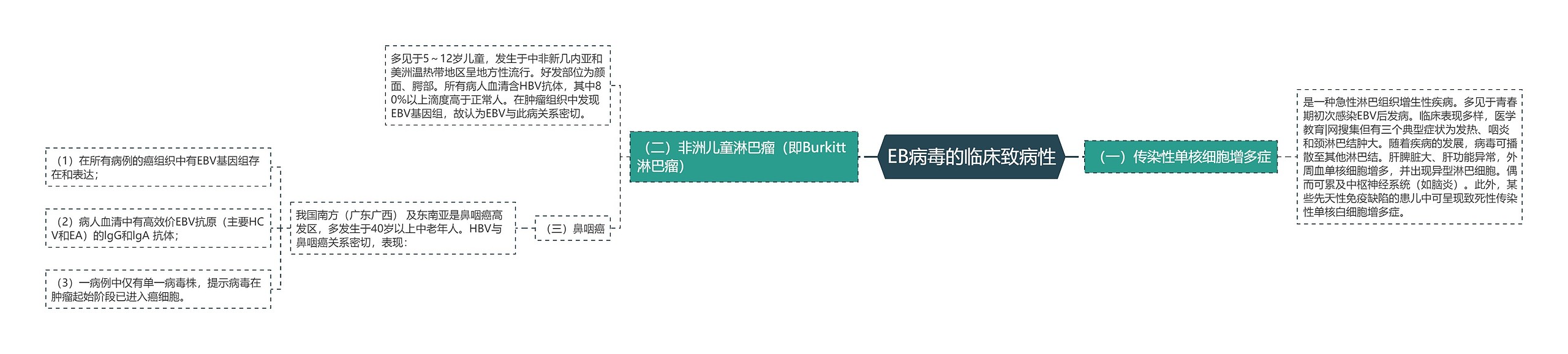 EB病毒的临床致病性