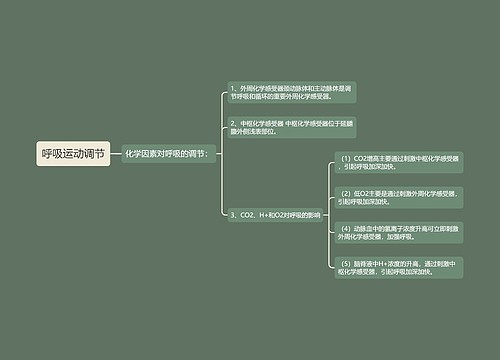 呼吸运动调节