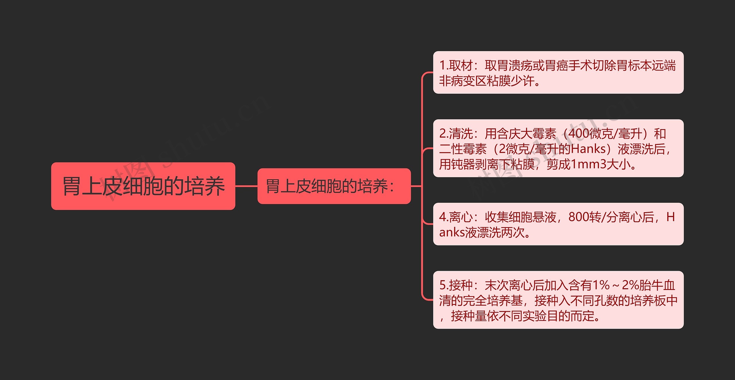 胃上皮细胞的培养思维导图