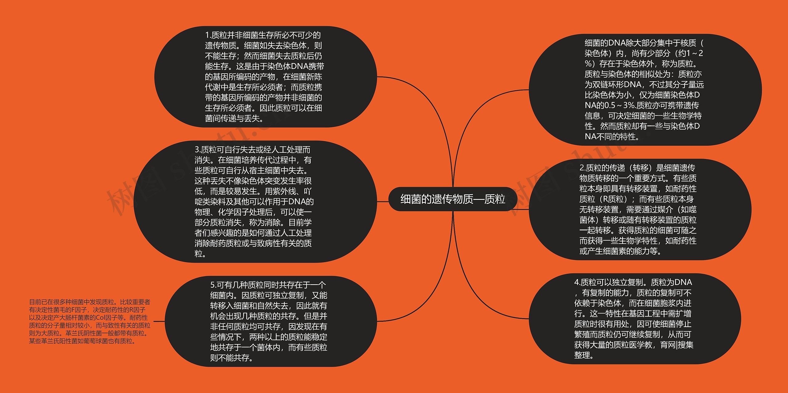 细菌的遗传物质—质粒