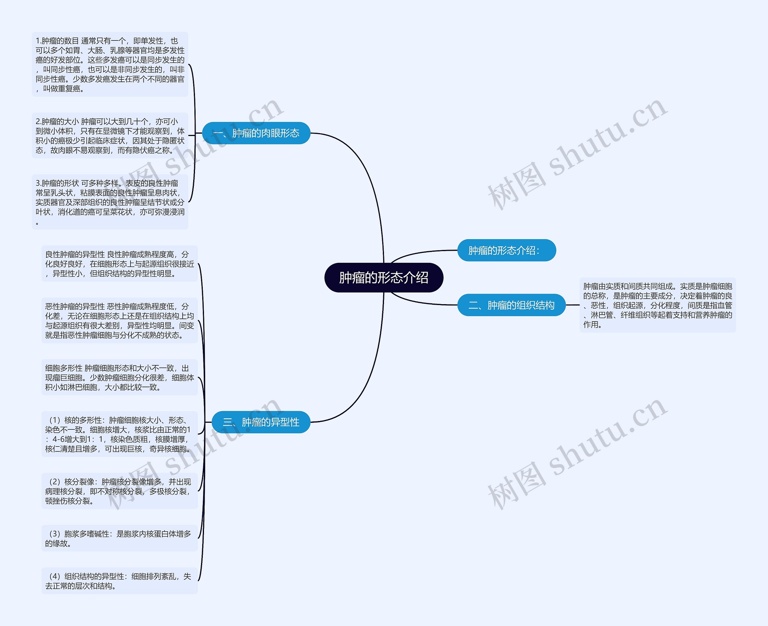 肿瘤的形态介绍思维导图