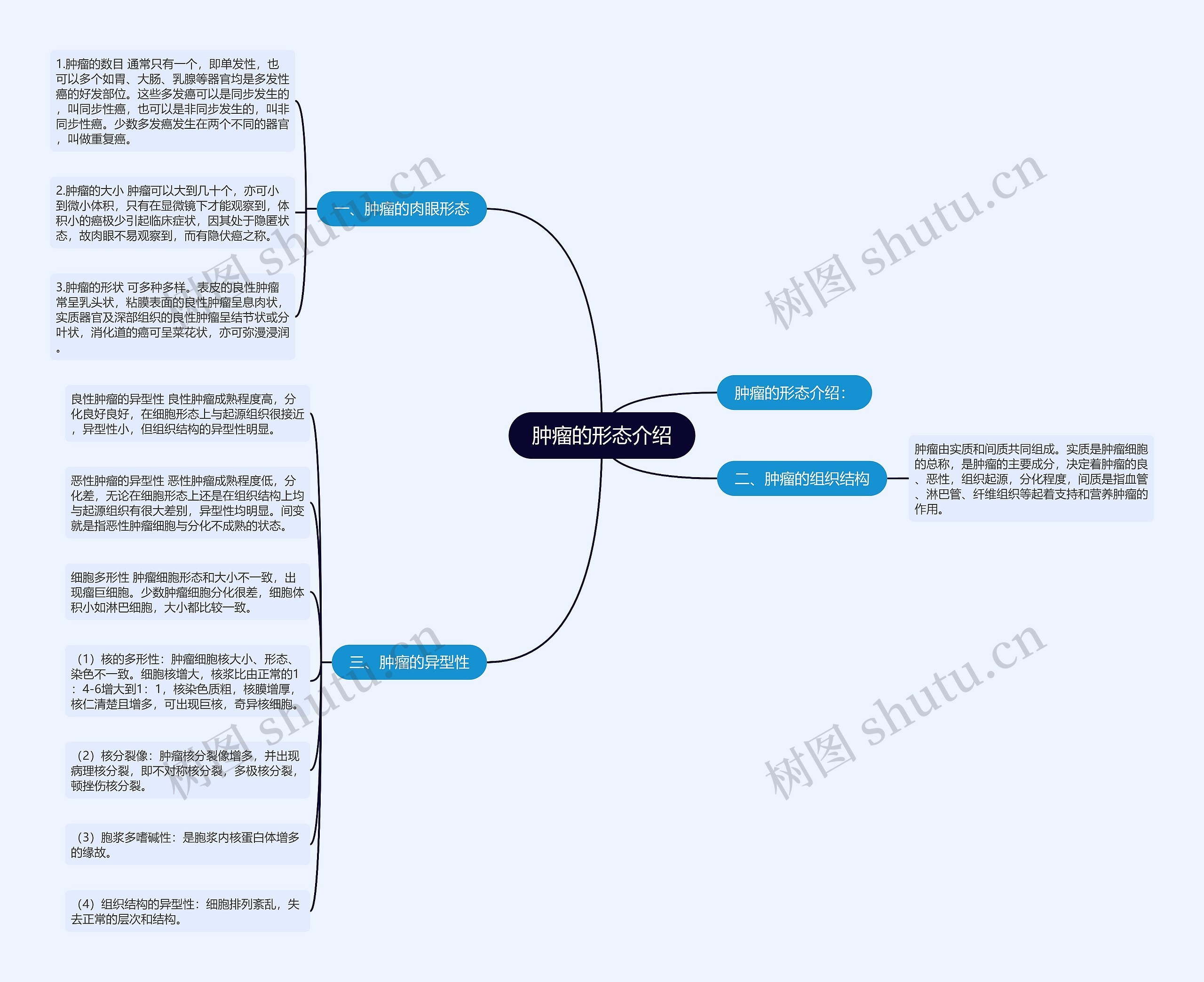 肿瘤的形态介绍 肿瘤的形态介绍
