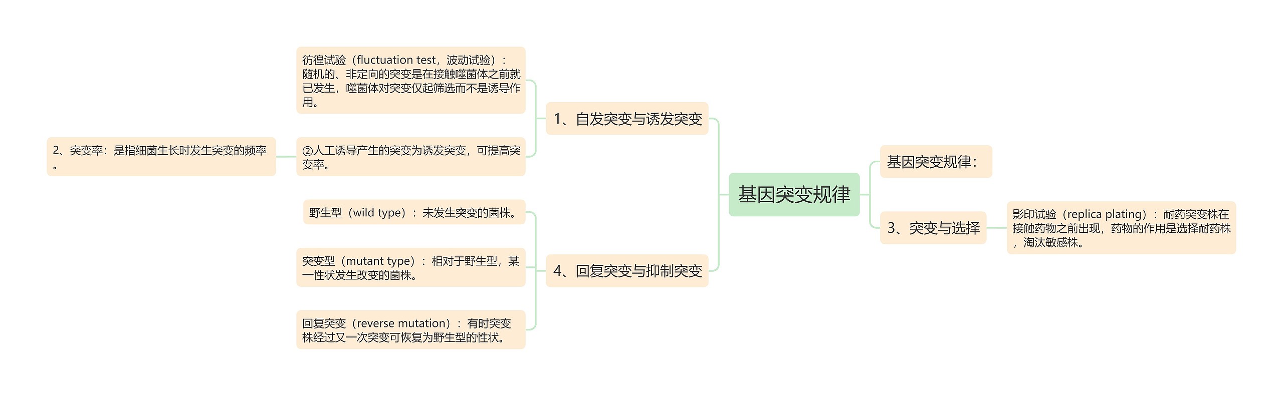 基因突变规律