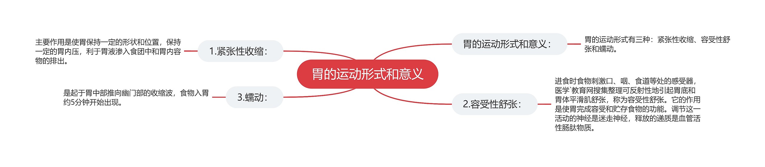 胃的运动形式和意义思维导图