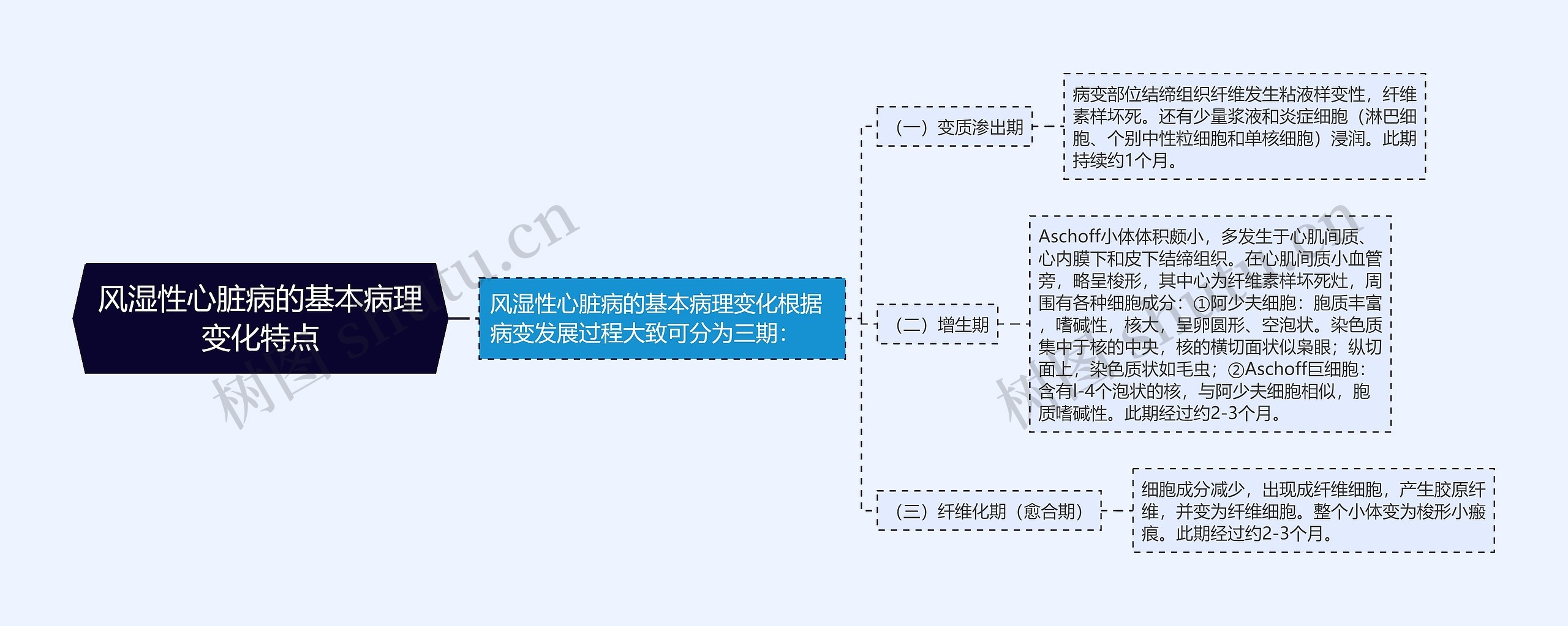 风湿性心脏病的基本病理变化特点