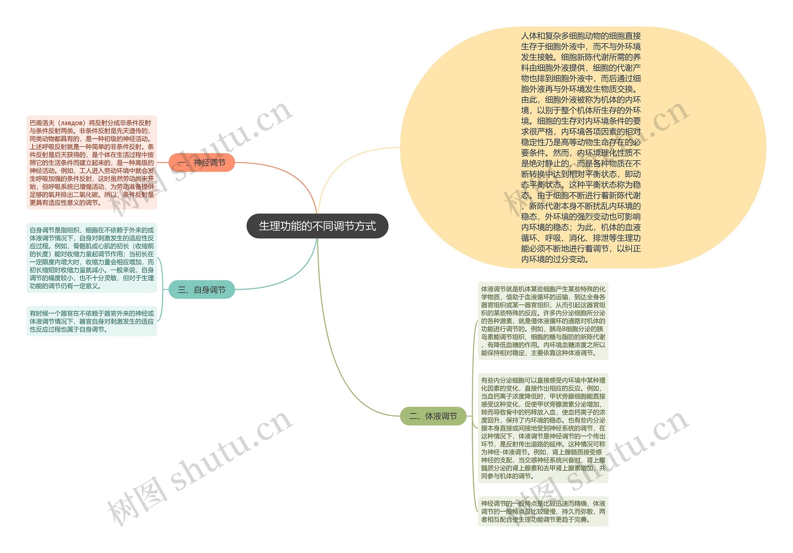 生理功能的不同调节方式思维导图