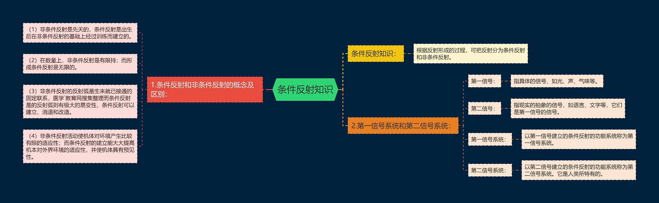 条件反射知识思维导图