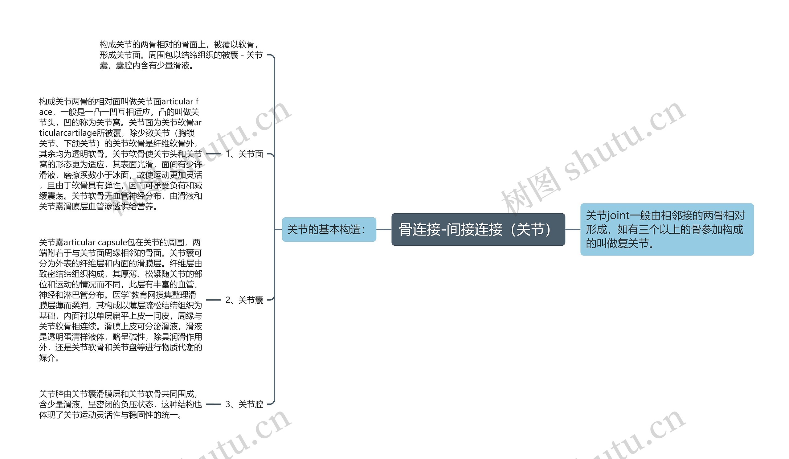 骨连接-间接连接（关节）思维导图